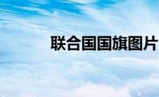 联合国国旗图片（联合国国旗）