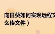 向日葵如何实现远程文件传输（向日葵远程怎么传文件）