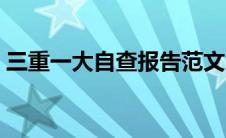 三重一大自查报告范文（三重一大自查报告）