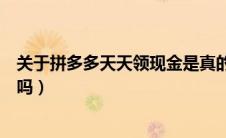 关于拼多多天天领现金是真的吗（拼多多天天领现金是真的吗）