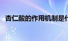 杏仁酸的作用机制是什么（杏仁酸的作用）
