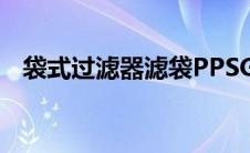 袋式过滤器滤袋PPSG（袋式过滤器滤袋）