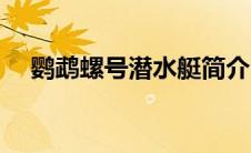 鹦鹉螺号潜水艇简介（鹦鹉螺号潜水艇）