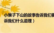 小猴子下山的故事告诉我们要有什么（小猴子下山的故事告诉我们什么道理）