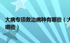 大病专项救治病种有哪些（大病专项救治的支付方式不包括哪些）