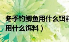冬季钓鲫鱼用什么饵料最好野钓（冬季钓鲫鱼用什么饵料）