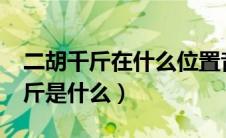 二胡千斤在什么位置音质最好?（二胡中的千斤是什么）