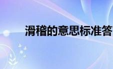 滑稽的意思标准答案（滑稽的意思）