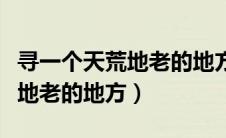 寻一个天荒地老的地方简谱钢琴（寻一个天荒地老的地方）