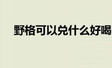 野格可以兑什么好喝（野格兑什么好喝）