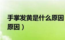 手掌发黄是什么原因 女性（手掌发黄是什么原因）