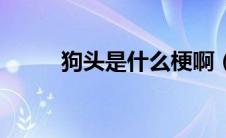 狗头是什么梗啊（狗头是什么梗）