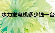 水力发电机多少钱一台（发电机多少钱一台）