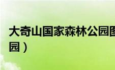 大奇山国家森林公园图片（大奇山国家森林公园）