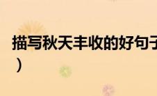 描写秋天丰收的好句子（描写秋天丰收的好段）