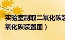 实验室制取二氧化碳装置图片（实验室制取二氧化碳装置图）