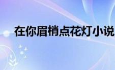 在你眉梢点花灯小说（在你眉梢点花灯）