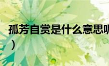 孤芳自赏是什么意思呢（孤芳自赏是什么意思）