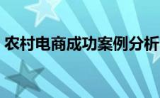 农村电商成功案例分析（农村电商成功案例）