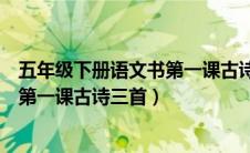 五年级下册语文书第一课古诗三首教程（五年级下册语文书第一课古诗三首）