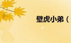 壁虎小弟（壁虎找票）