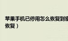 苹果手机已停用怎么恢复到密码状态（苹果手机已停用怎么恢复）