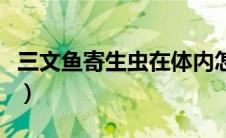 三文鱼寄生虫在体内怎么消灭（三文鱼寄生虫）