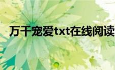 万千宠爱txt在线阅读（万千宠爱txt下载）