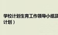 学校计划生育工作领导小组及分工（2020学校计划生育工作计划）
