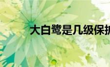 大白鹭是几级保护动物（大白鹭）