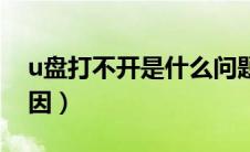 u盘打不开是什么问题（u盘打不开是什么原因）