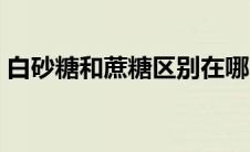 白砂糖和蔗糖区别在哪（白砂糖和蔗糖区别）