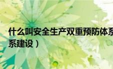 什么叫安全生产双重预防体系（什么是安全生产双重预防体系建设）