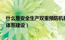 什么是安全生产双重预防机制?（什么是安全生产双重预防体系建设）