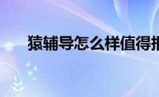 猿辅导怎么样值得报（猿辅导怎么样）
