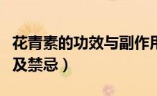 花青素的功效与副作用（花青素的功效与作用及禁忌）