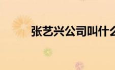 张艺兴公司叫什么（张艺兴公司）
