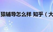 猿辅导怎么样 知乎（大家觉的猿辅导怎么样）