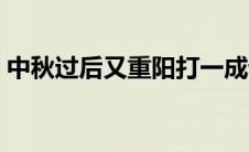 中秋过后又重阳打一成语（中秋过后又重阳）