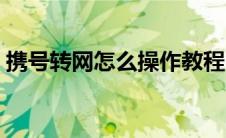 携号转网怎么操作教程（携号转网怎么操作）
