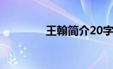 王翰简介20字（王翰简介）