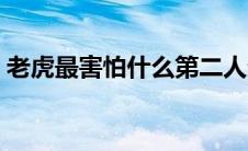 老虎最害怕什么第二人生（老虎最害怕什么）