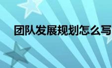 团队发展规划怎么写（发展规划怎么写）