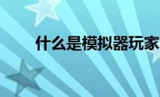什么是模拟器玩家（什么是模拟器）