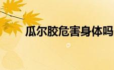 瓜尔胶危害身体吗（瓜尔胶的危害）
