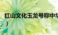 红山文化玉龙号称中华第一龙（红山文化玉龙）
