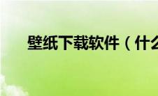 壁纸下载软件（什么壁纸软件最好用）