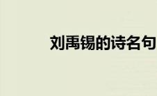 刘禹锡的诗名句（刘禹锡的诗）