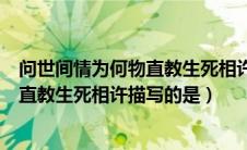 问世间情为何物直教生死相许描写的是啥（问世间情为何物直教生死相许描写的是）