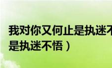 我对你又何止是执迷不悟阿濑（我对你又何止是执迷不悟）